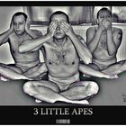 :::3 little Apes"