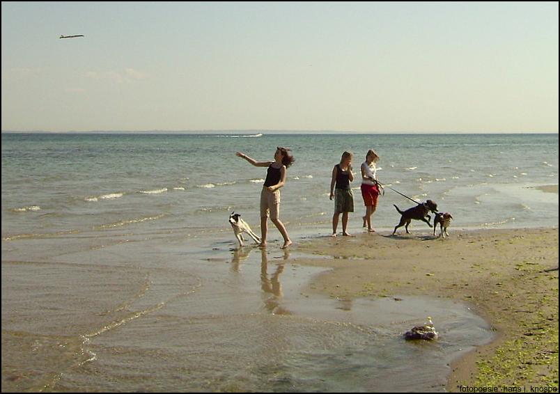 3 Mädchen mit 3 Hunden - und Spass am Strand - ganz ungestellt!