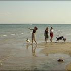 3 Mädchen mit 3 Hunden - und Spass am Strand - ganz ungestellt!