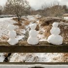 3 Männer im Schnee 