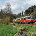 3 MAN Schienenbusse 1