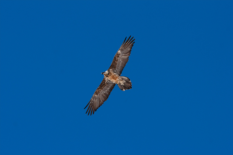 3 metri sopra il cielo.........