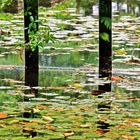 3 miroirs d'eau.....