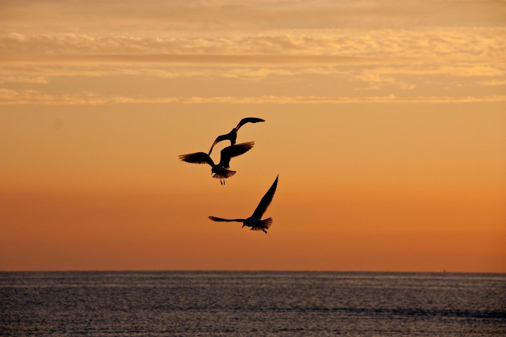 3 Möwen Sankt-Peter-Ording