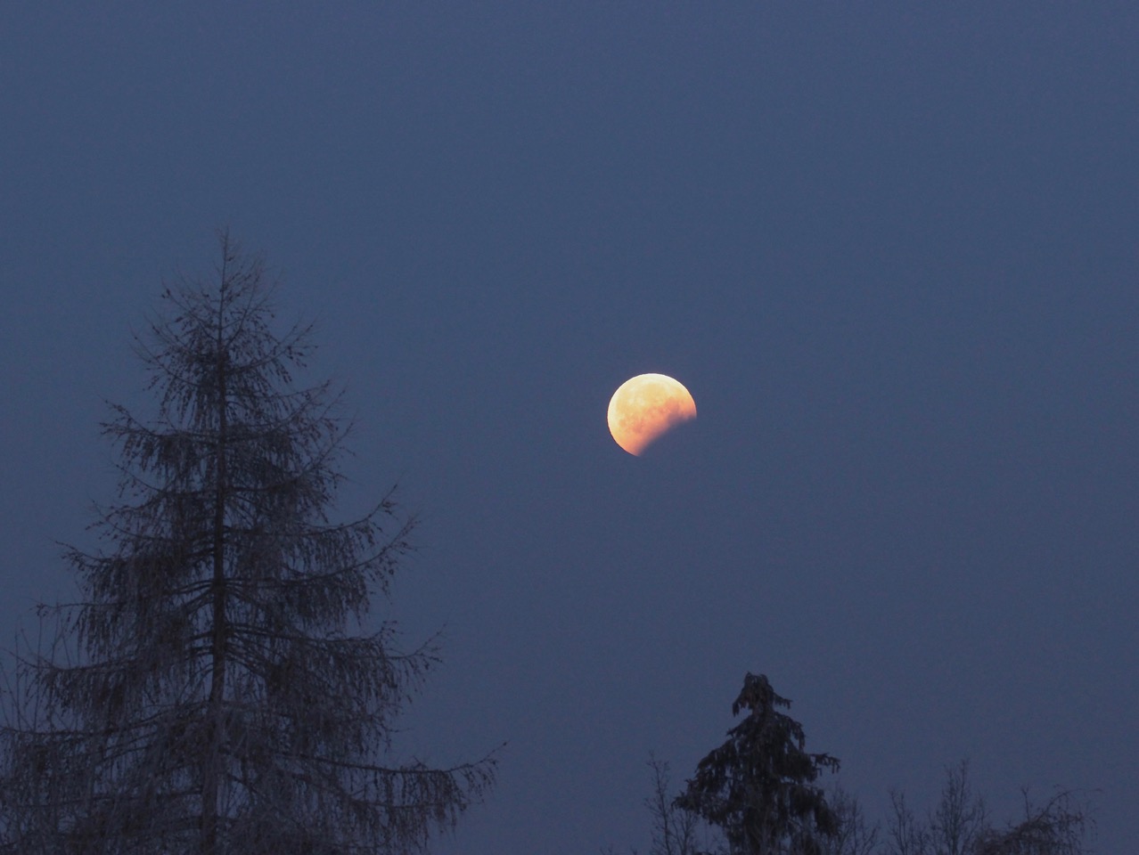 (3) Mondfinsternis am 21.1.2019 über Neukappl/Opf. - 7.36h