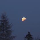 (3) Mondfinsternis am 21.1.2019 über Neukappl/Opf. - 7.36h