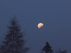 (3) Mondfinsternis am 21.1.2019 über Neukappl/Opf. - 7.36h