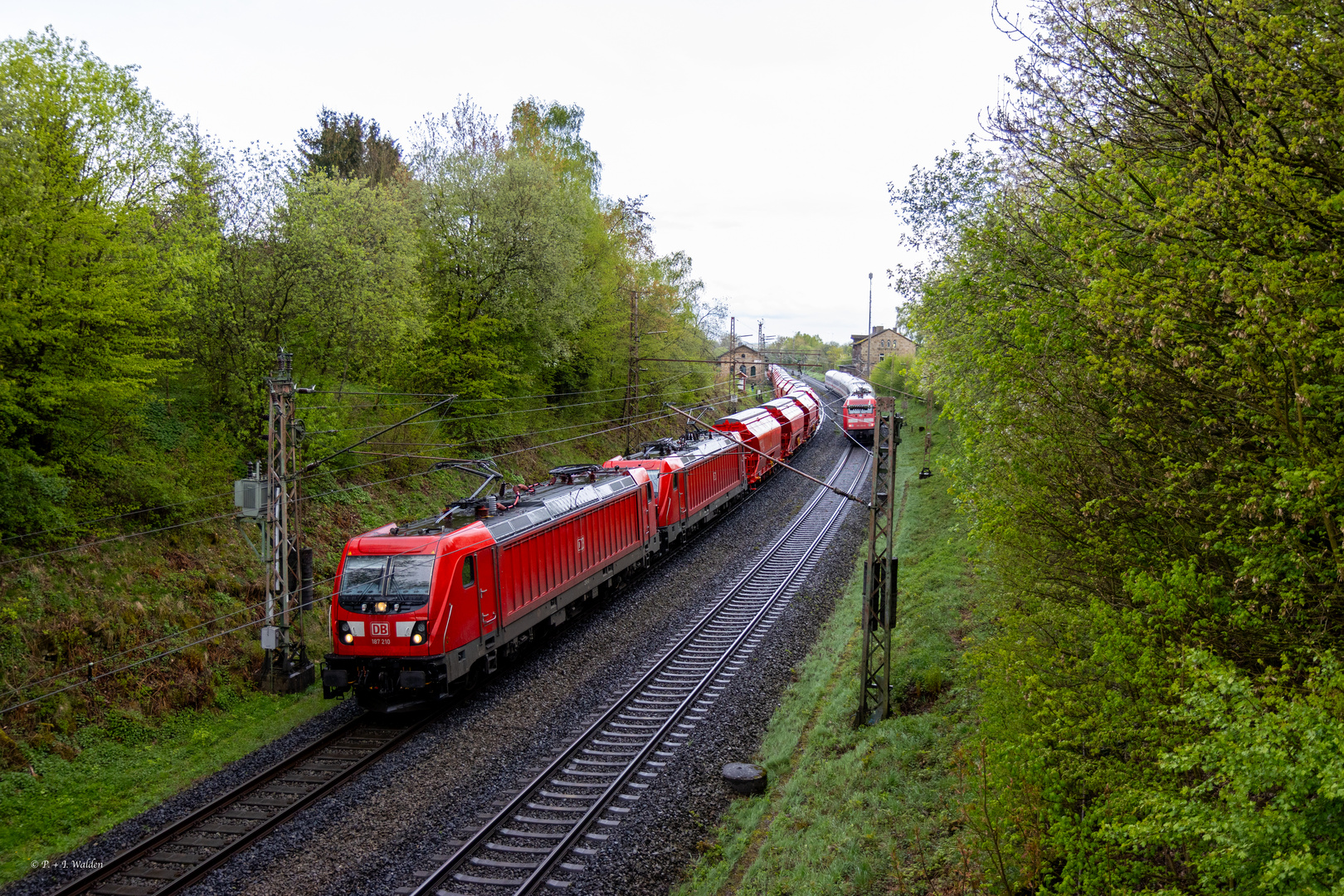 3 Rote im Regen