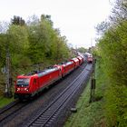 3 Rote im Regen