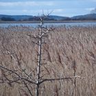 3 Rügen - ein Wintermärchen ?