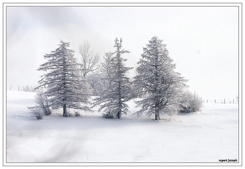 3 Schwestern im Winter.................