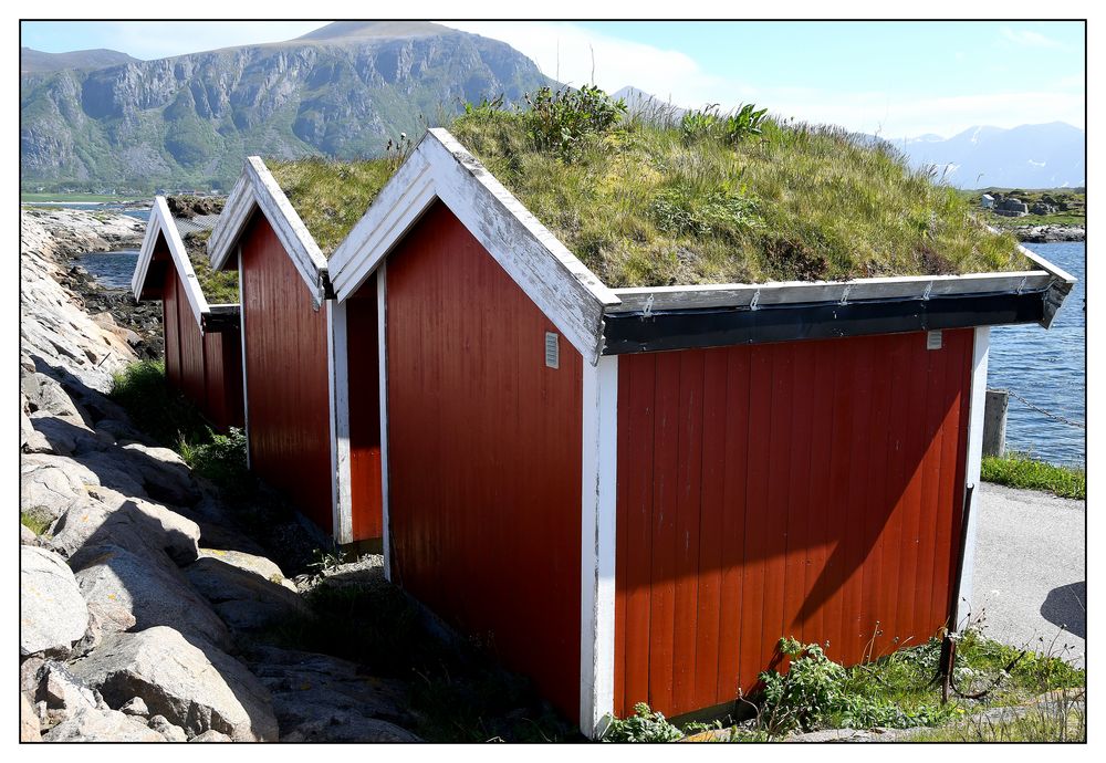 3 Sheds of Red