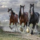 3 Shires