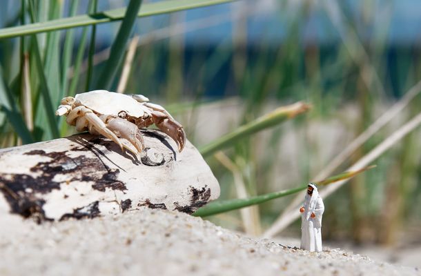 (3) Sindbad und das große Orakel