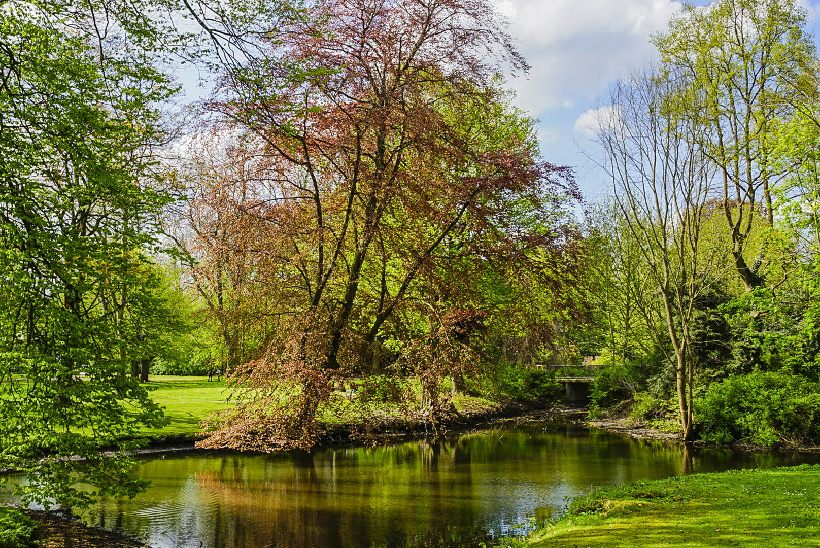 3 Stadtpark Lübeck im Mai