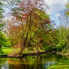 3 Stadtpark Lübeck im Mai