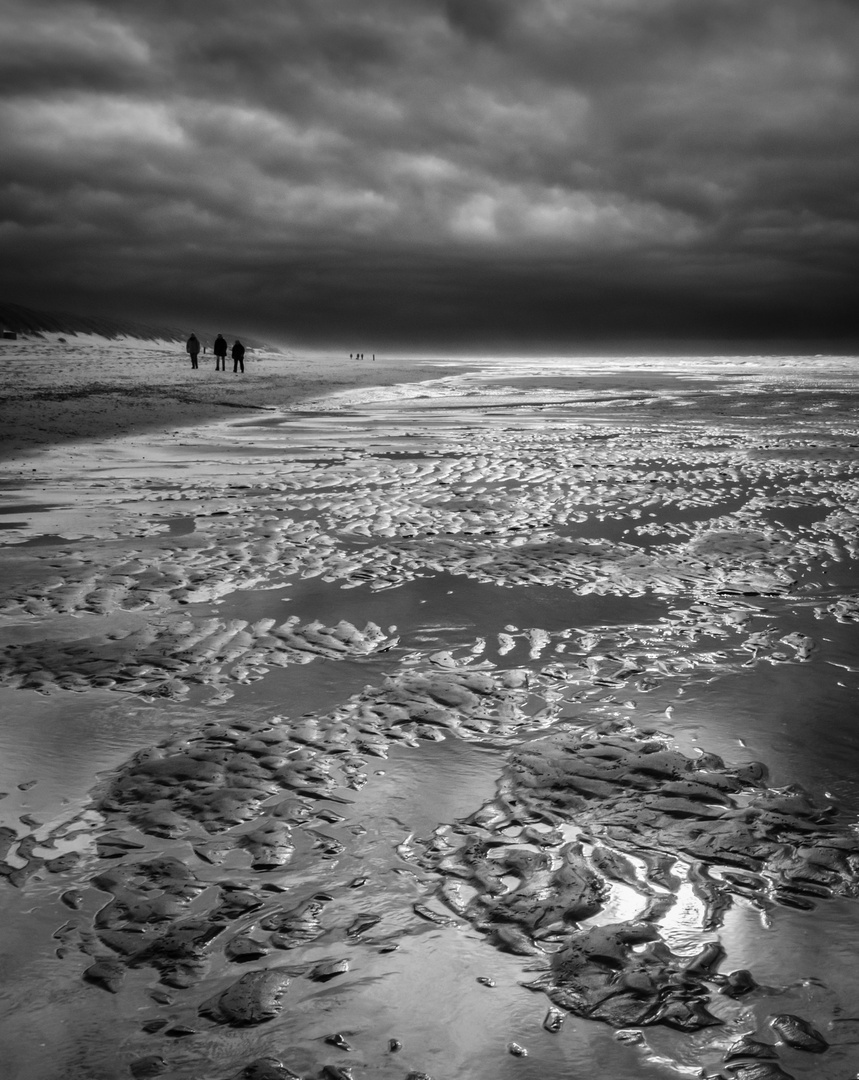 3 strandläufer 