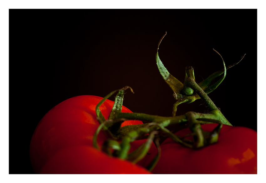 3 Strauchtomaten