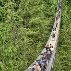 3. Tag: Capilano Suspension Bridge