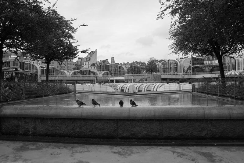 3 Tauben in les halles