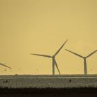 3 Windräder