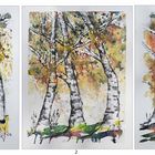 3 x Aquarell Birken...