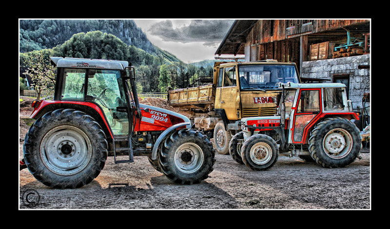 3 x Steyr