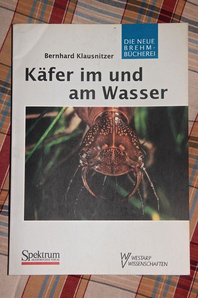 (3) Zweieinhalb Jahre lang Foto & Bild natur, österreich