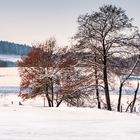 30 cm Schnee - Bayern662