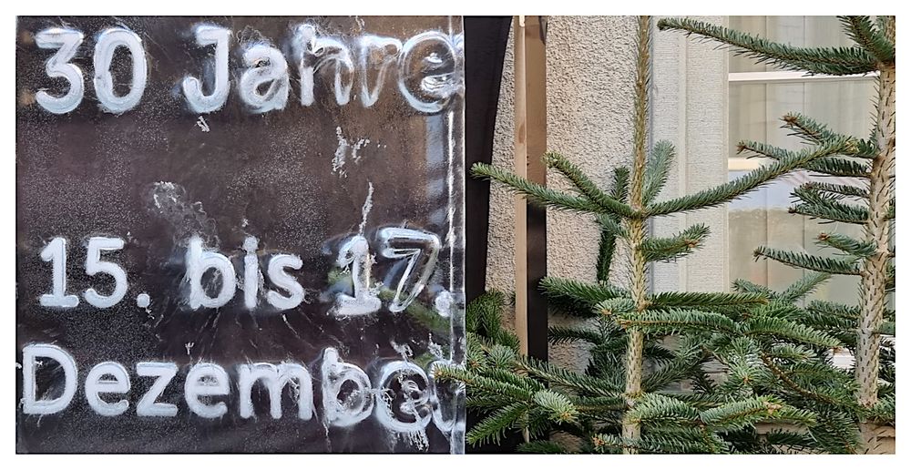 30 Jahre Weihnachtsmarkt Frauenfeld, in Eis 'gegossen'