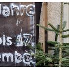 30 Jahre Weihnachtsmarkt Frauenfeld, in Eis 'gegossen'