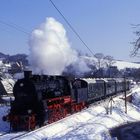 30 Jan 1993 in Thüringen 4