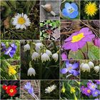 30. März 2018 - Der Frühling erwacht