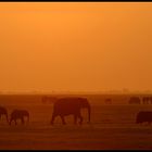 30 Minuten vorm Sonnenuntergang (reloaded)