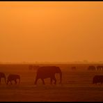 30 Minuten vorm Sonnenuntergang (reloaded)