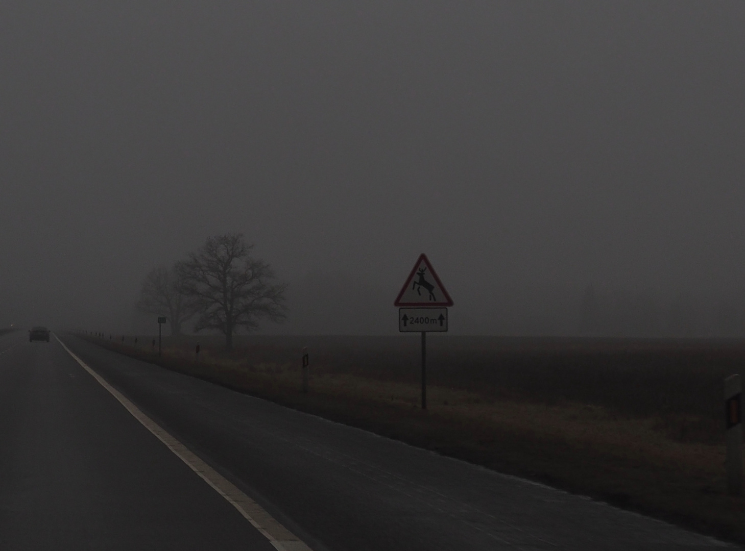 300 km of the fog