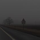 300 km of the fog