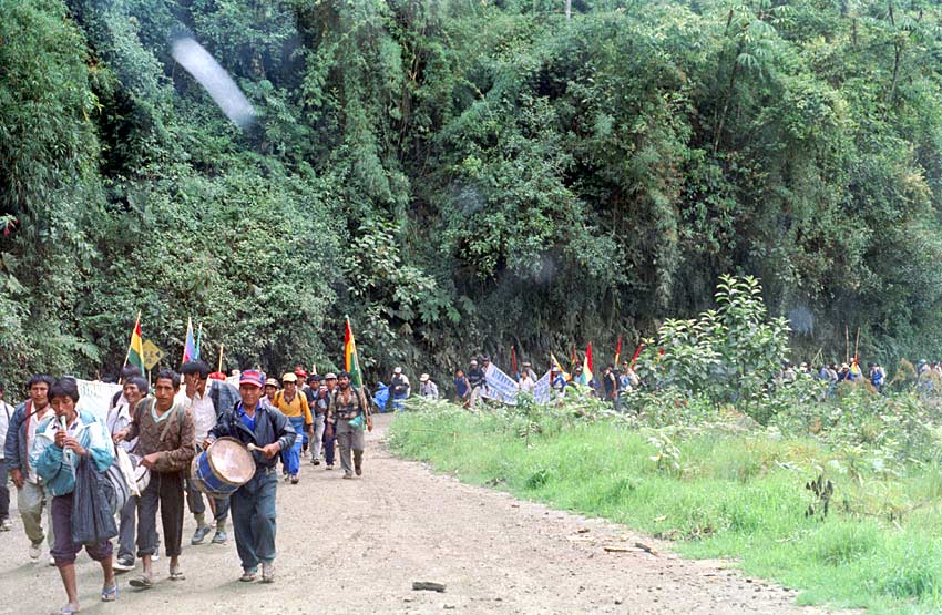 3.000 Kokabauern auf dem langen Fußweg aus den Yungas zu einer Demo nach La Paz