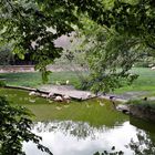 30.05.2020  Spiegeltag :Tiergarten Nürnberg Flamingos