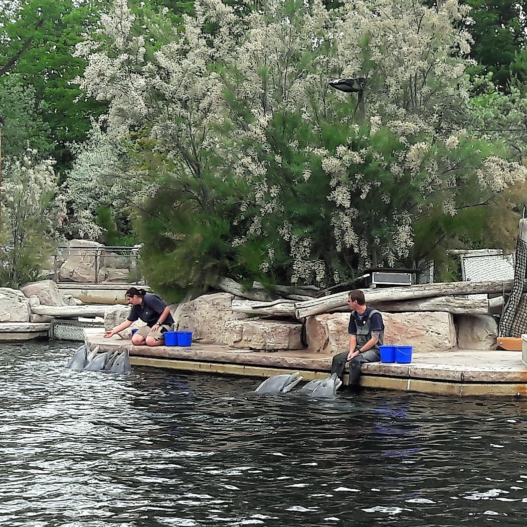 30.05.2020 Tiergarten Nürnberg Zähl- Appell 