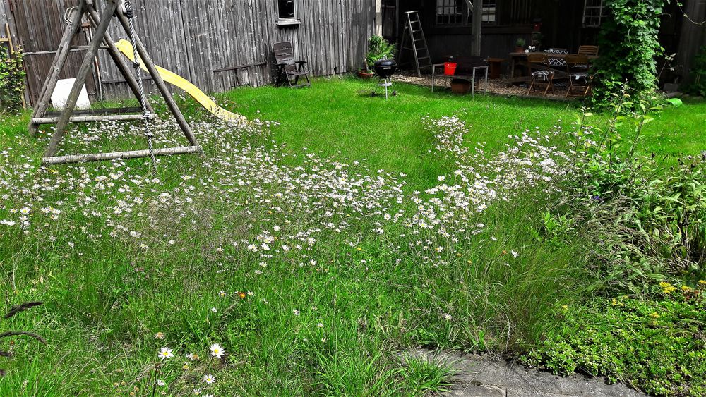 30.06.2020  Mittwochsblümchen am Spielplatz