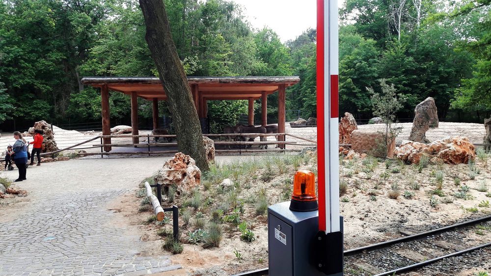 30.06.2020  Tiergarten Nürnberg  :Besucherbahn und Sonnenschutzdach  für Tiere