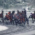 3008  à vincennes