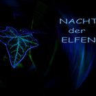 3008 LOGO NACHT ELFEN 2017 01 06 D32 25439 06