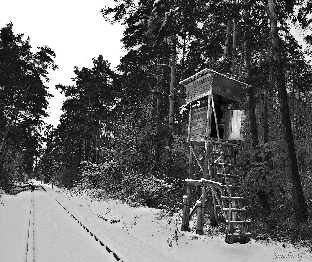 300er Tele im Hochsitz