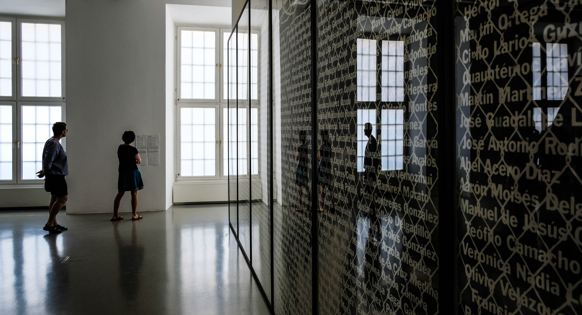 30/100 (D14) documenta: Andrea Bowers: "Unvergessen" 2010