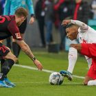 30.11.2019, RheinEnergieStadion, Köln, GER, 1. FBL, 1.FC Köln vs. FC Augsburg,