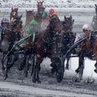 3013 trot à vincennes