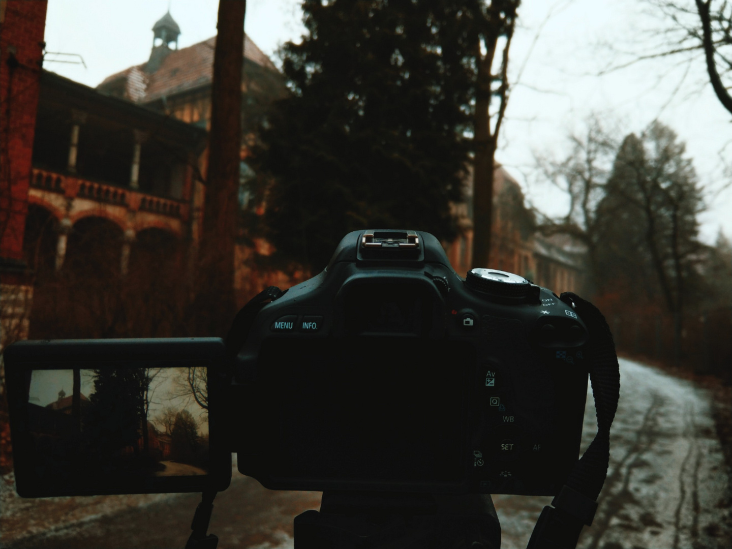 3.02.19 - Beelitz Heilstätten 