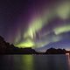 Aurora Borealis tanzt ber dem Reinefjord